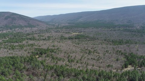 Off-Grid Hunting Land with National Forest Borders