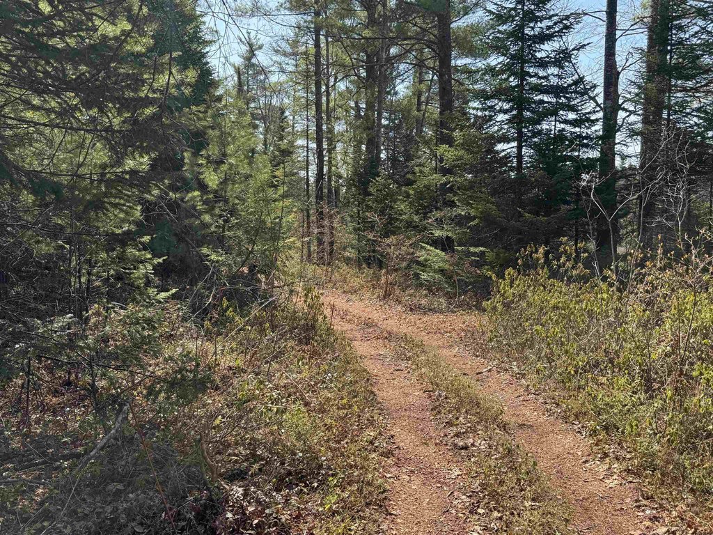 Picture 21