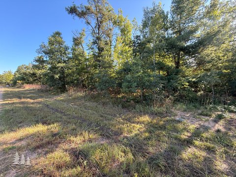 Land, Lewiston, MI