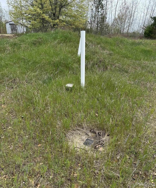 Picture 11