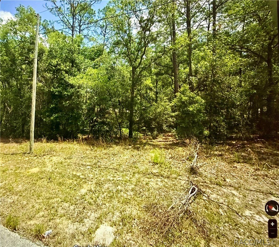 Residential Lot in Citrus Springs