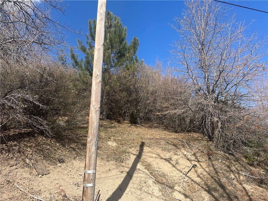 Picture 6