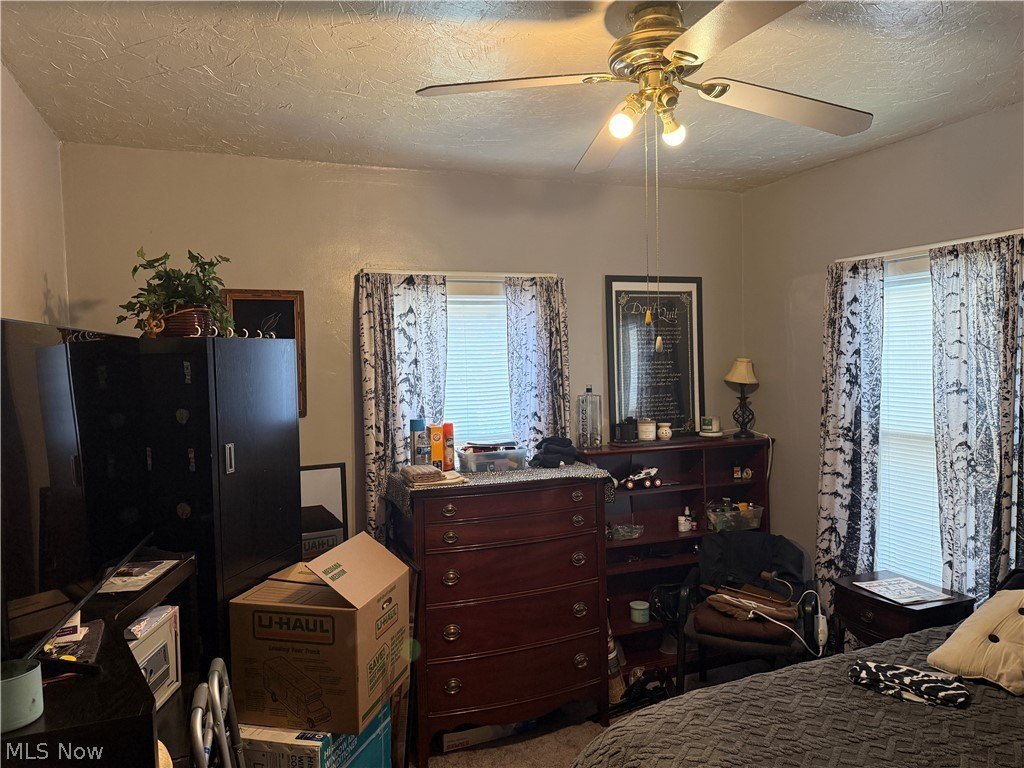 Picture 36