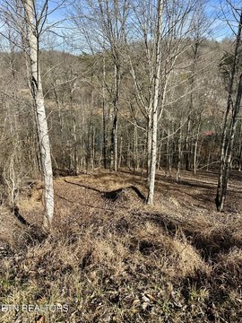 LaFollette Land with Lake Views