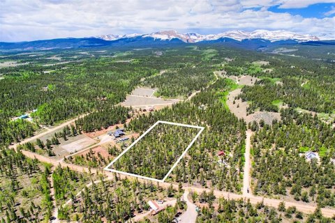 Flat Treed Land Near Fairplay
