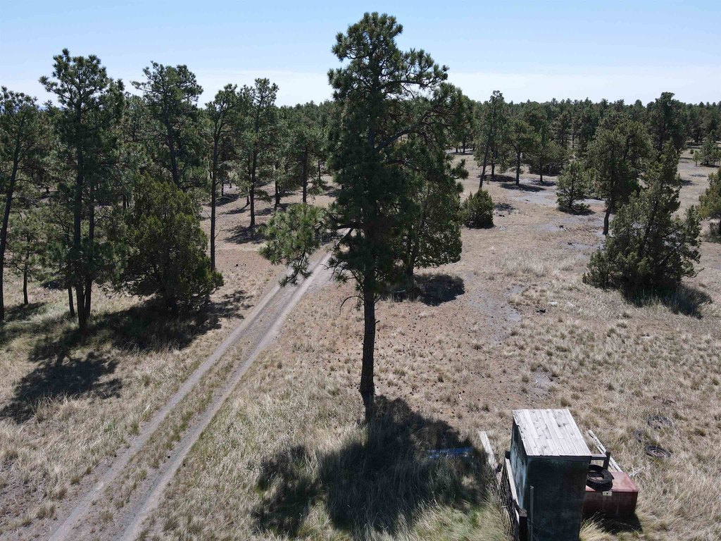 Picture 25