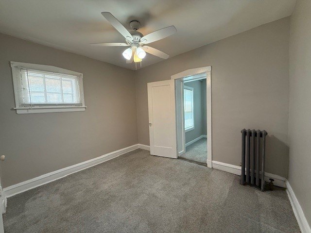 Picture 12