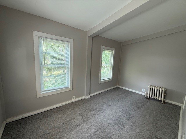 Picture 25