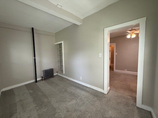 Picture 13