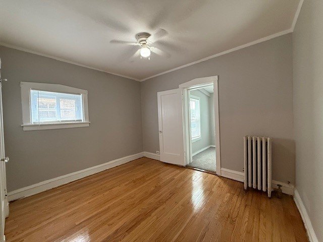Picture 23