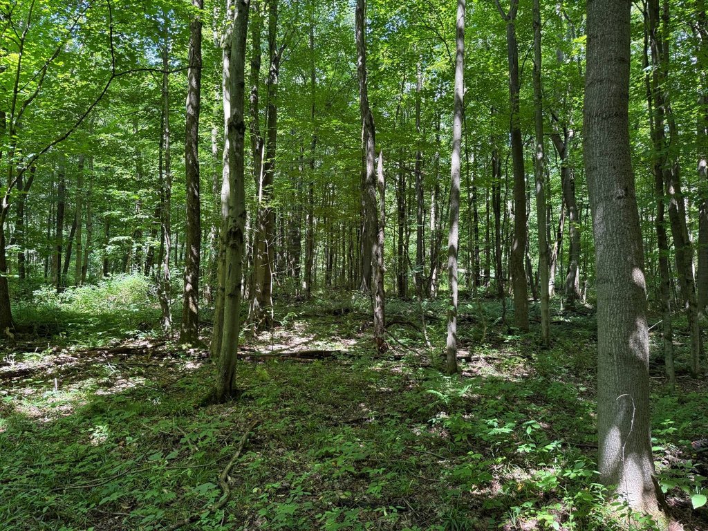 Picture 17