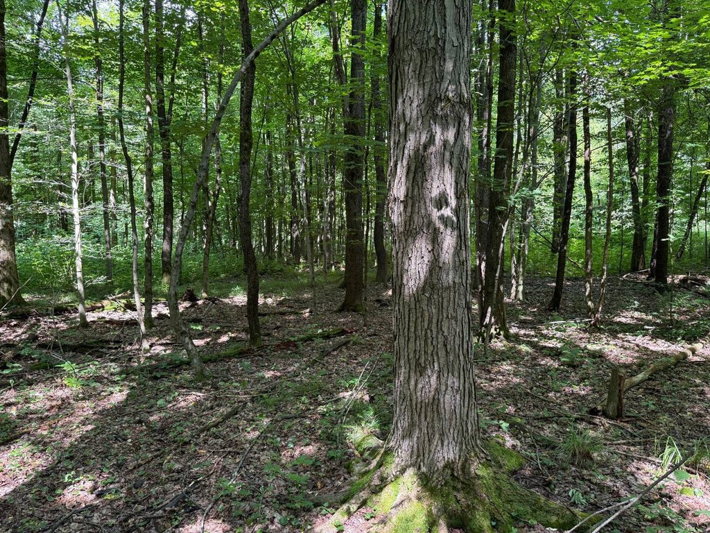 Picture 19