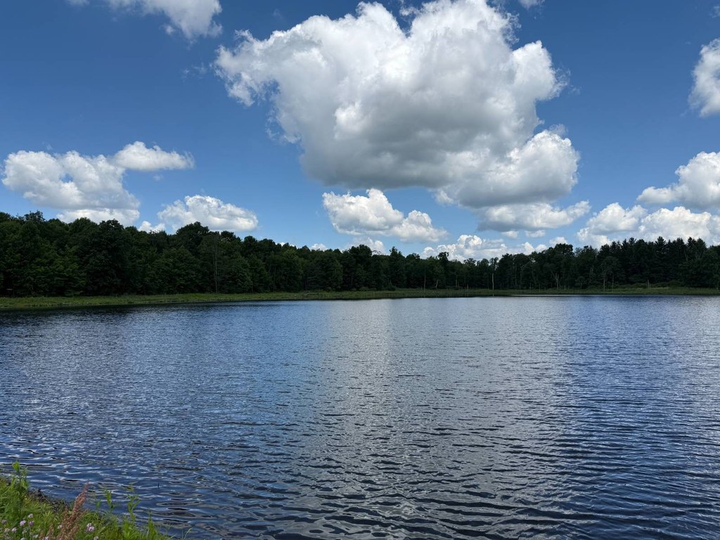 Picture 31