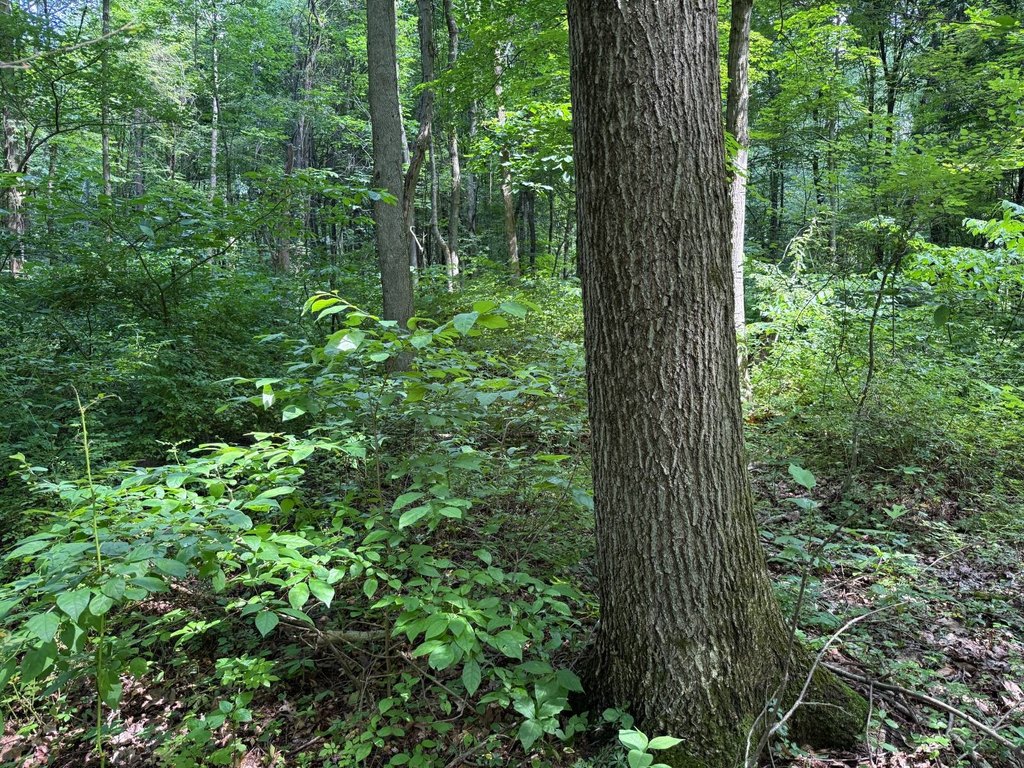 Picture 24