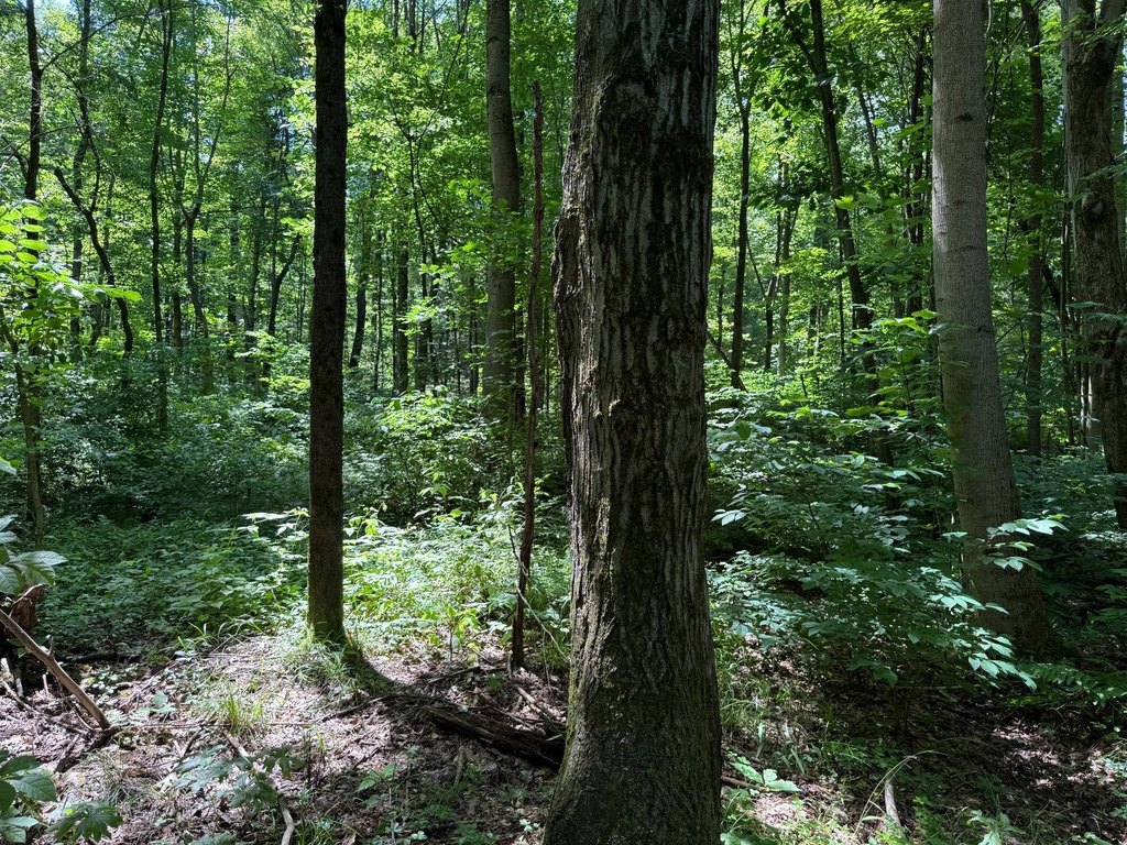 Picture 23