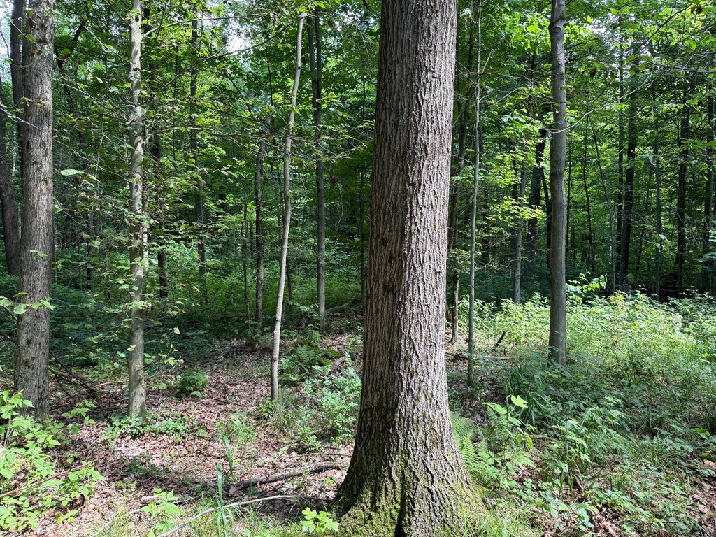 Picture 25