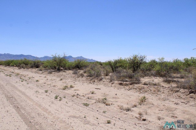 Picture 9