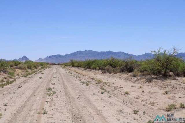 Picture 12