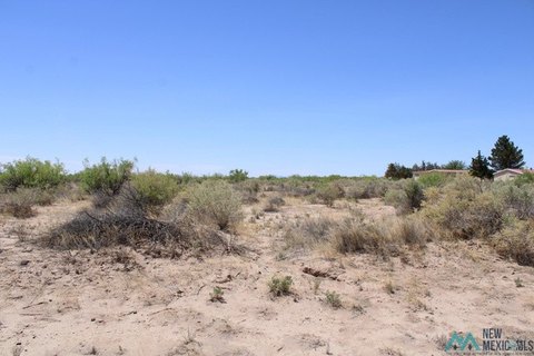 Land, Deming, NM