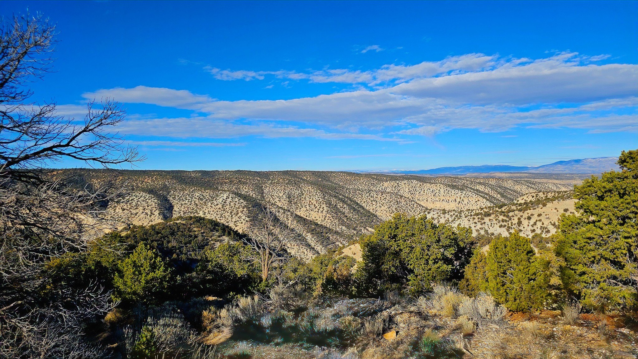 9.85 Acres in Duchesne, Utah