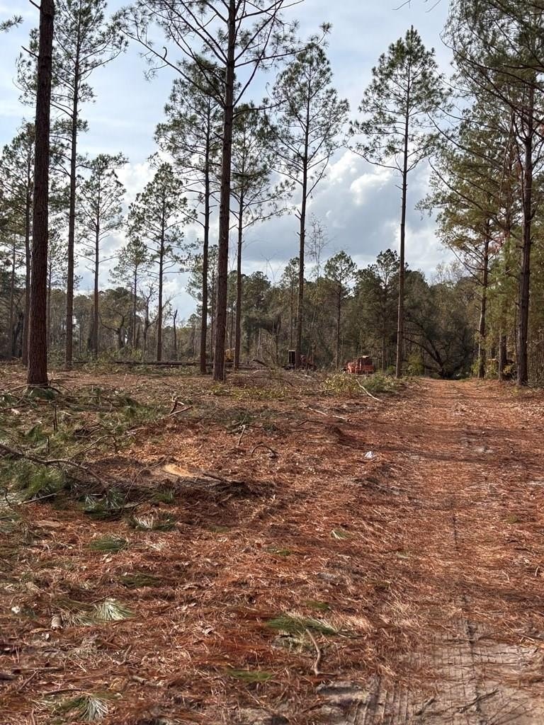 Expansive Land Parcel in Hahira