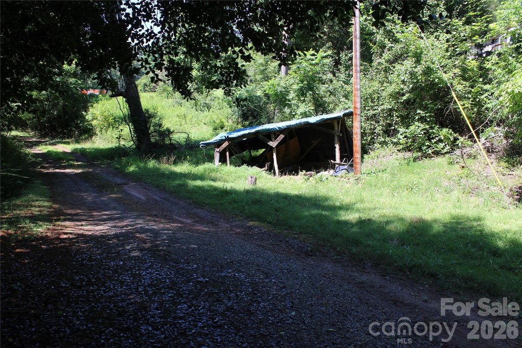 Picture 21