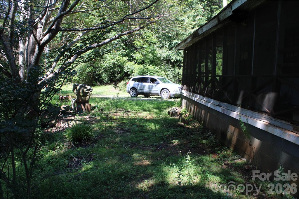 Picture 17