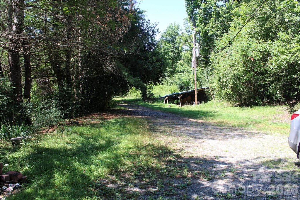 Picture 18