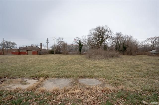 Picture 6