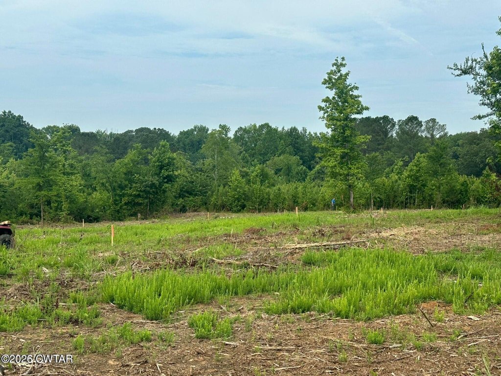 Picture 22