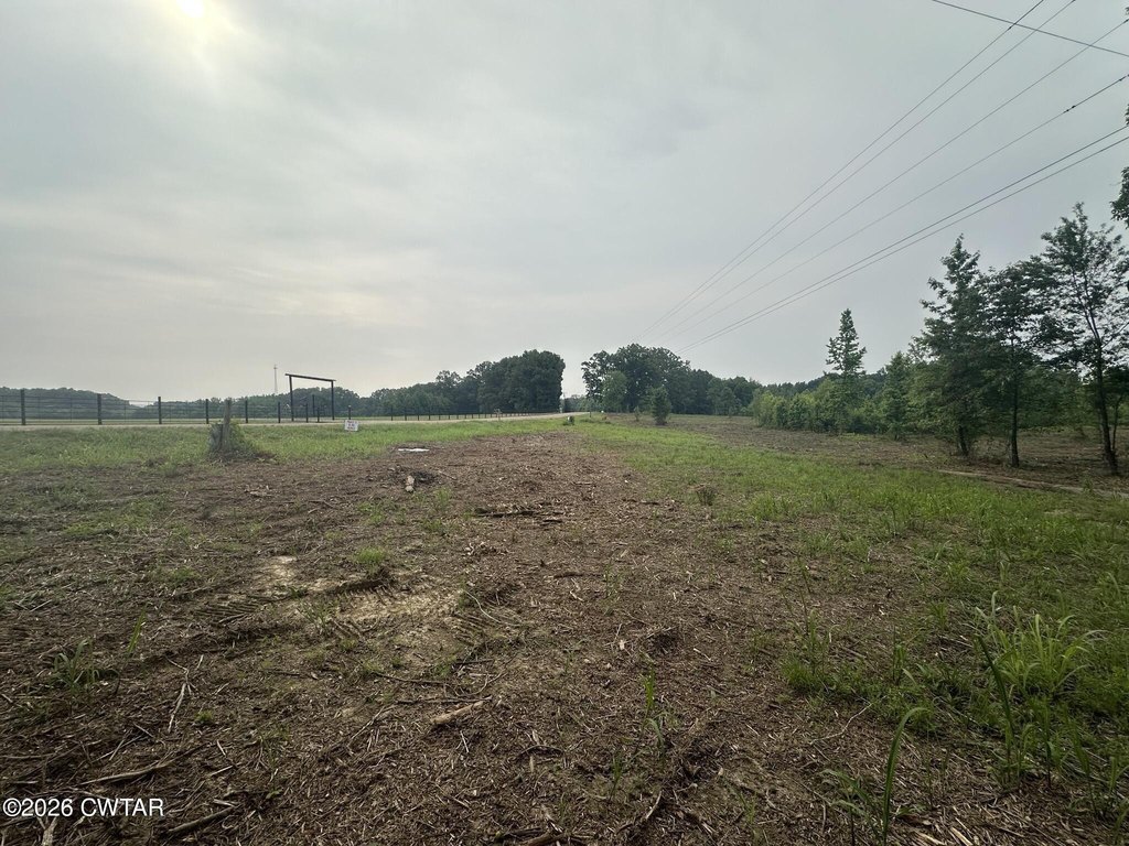 Picture 21
