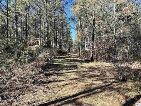 Recreational Hunting Land Tract