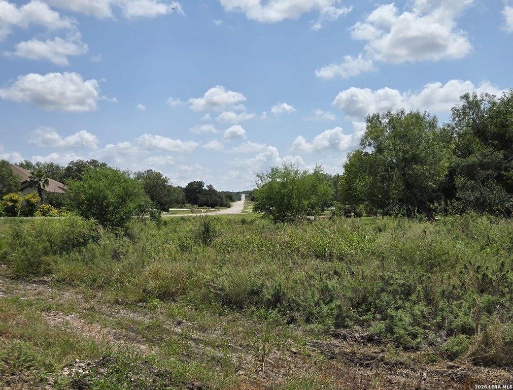 Picture 20