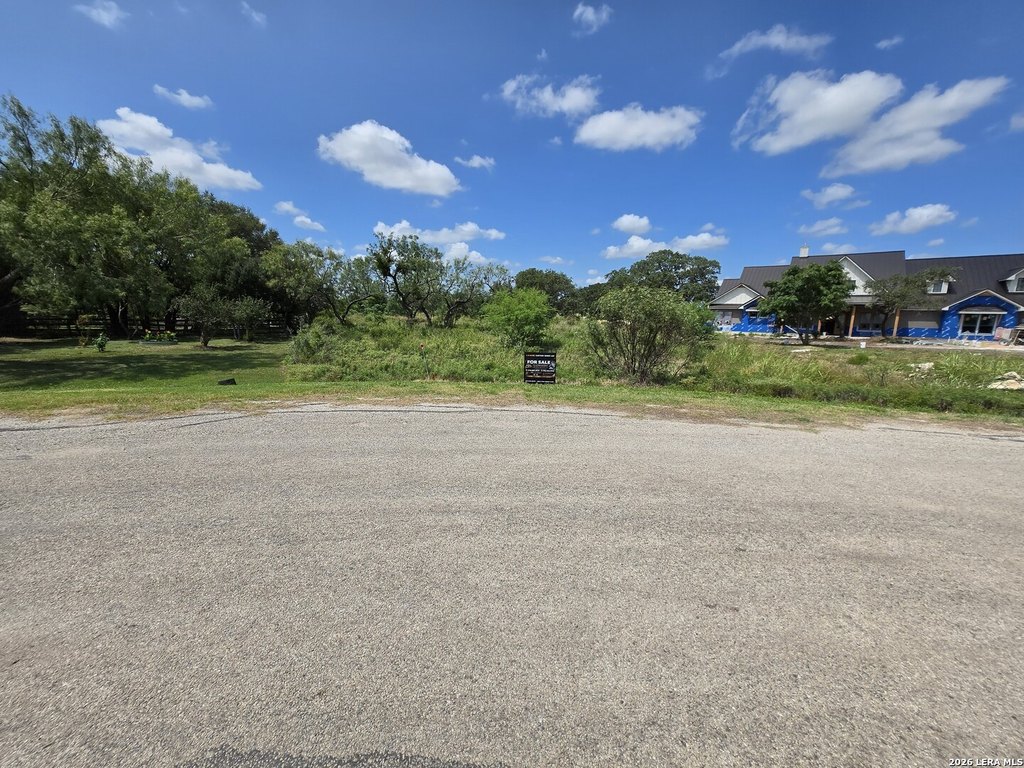 Picture 17