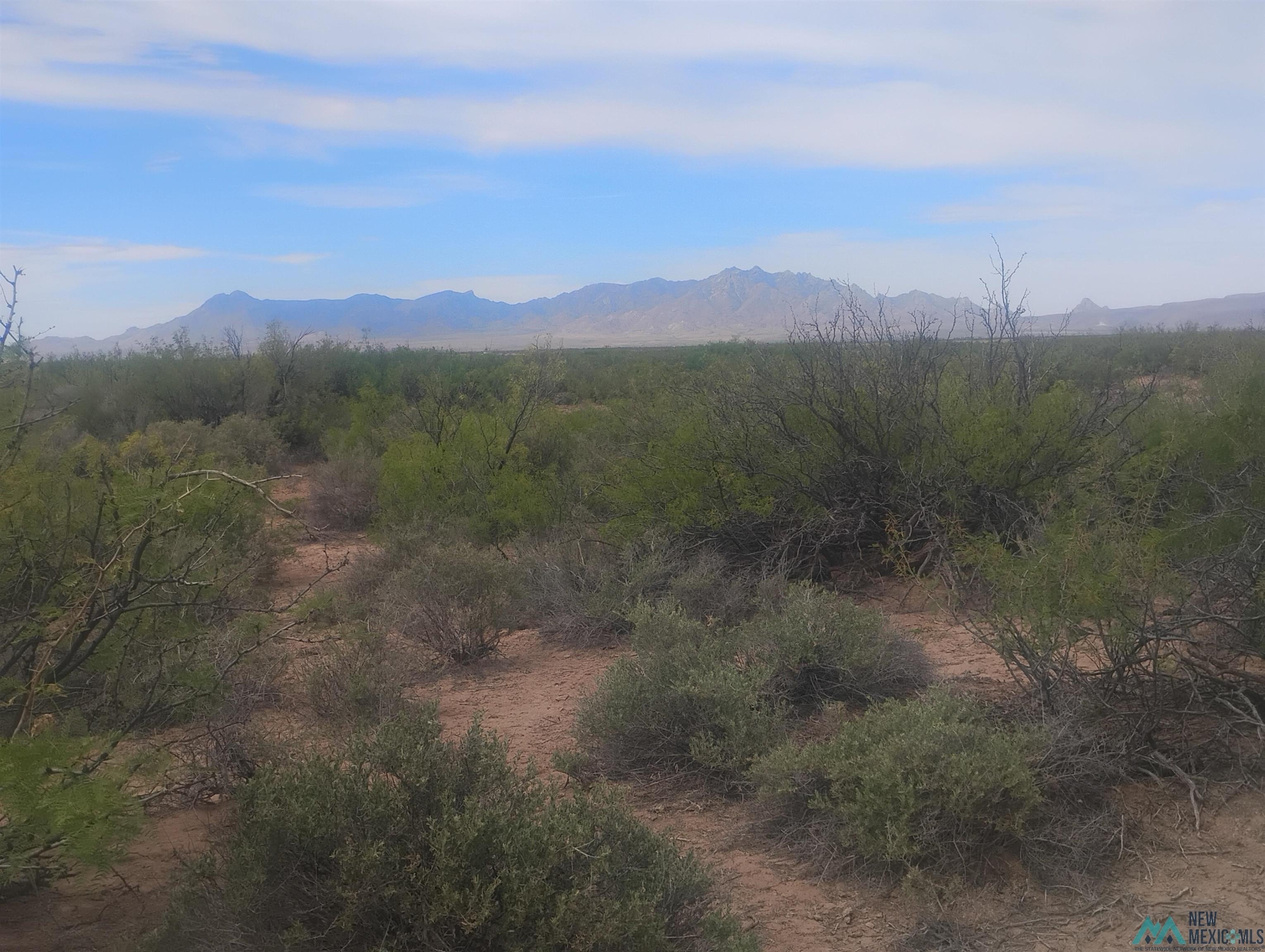 Land with Mountain Views