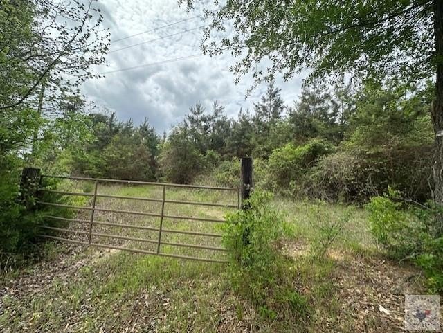 Queen City Recreational Hunting Land