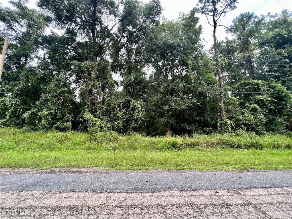 Citrus Springs Land For Sale