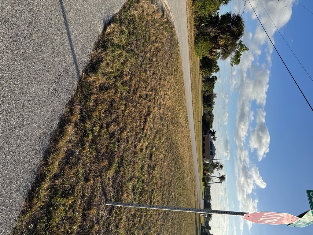 Picture 6