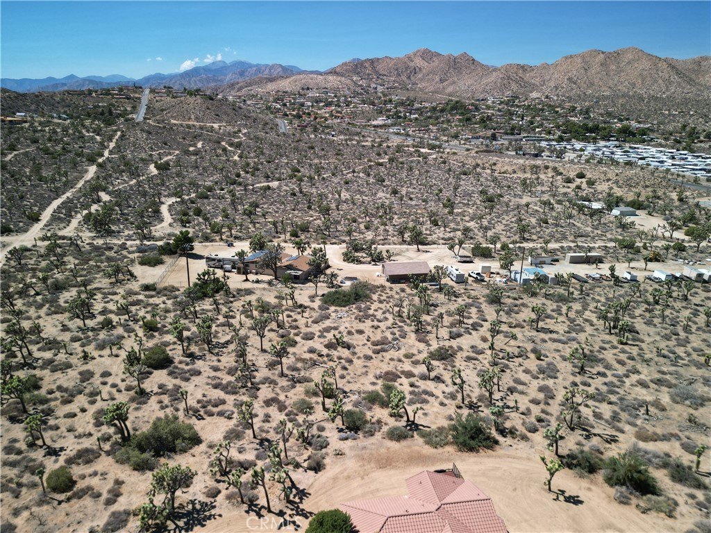 Picture 24