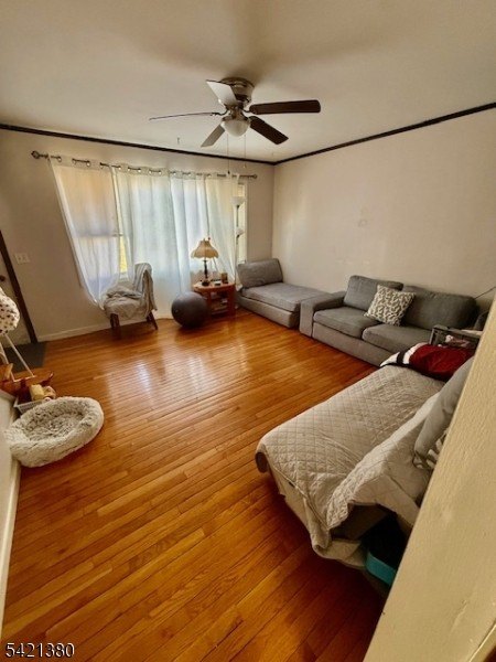 Picture 7