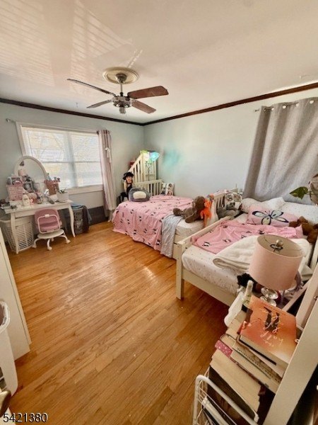 Picture 12