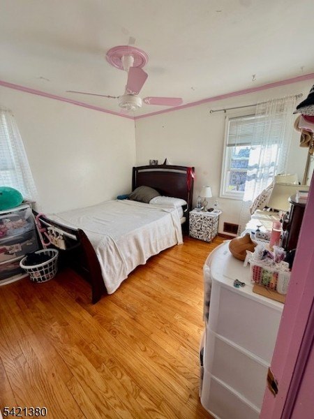 Picture 13