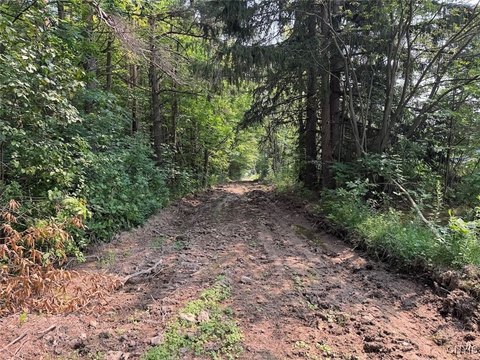 59 Acres Hunting/Recreational Land