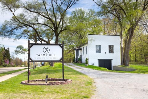 Bridgman Commercial Property on 3.16 Acres