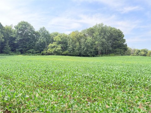 Land, St Croix Falls, WI