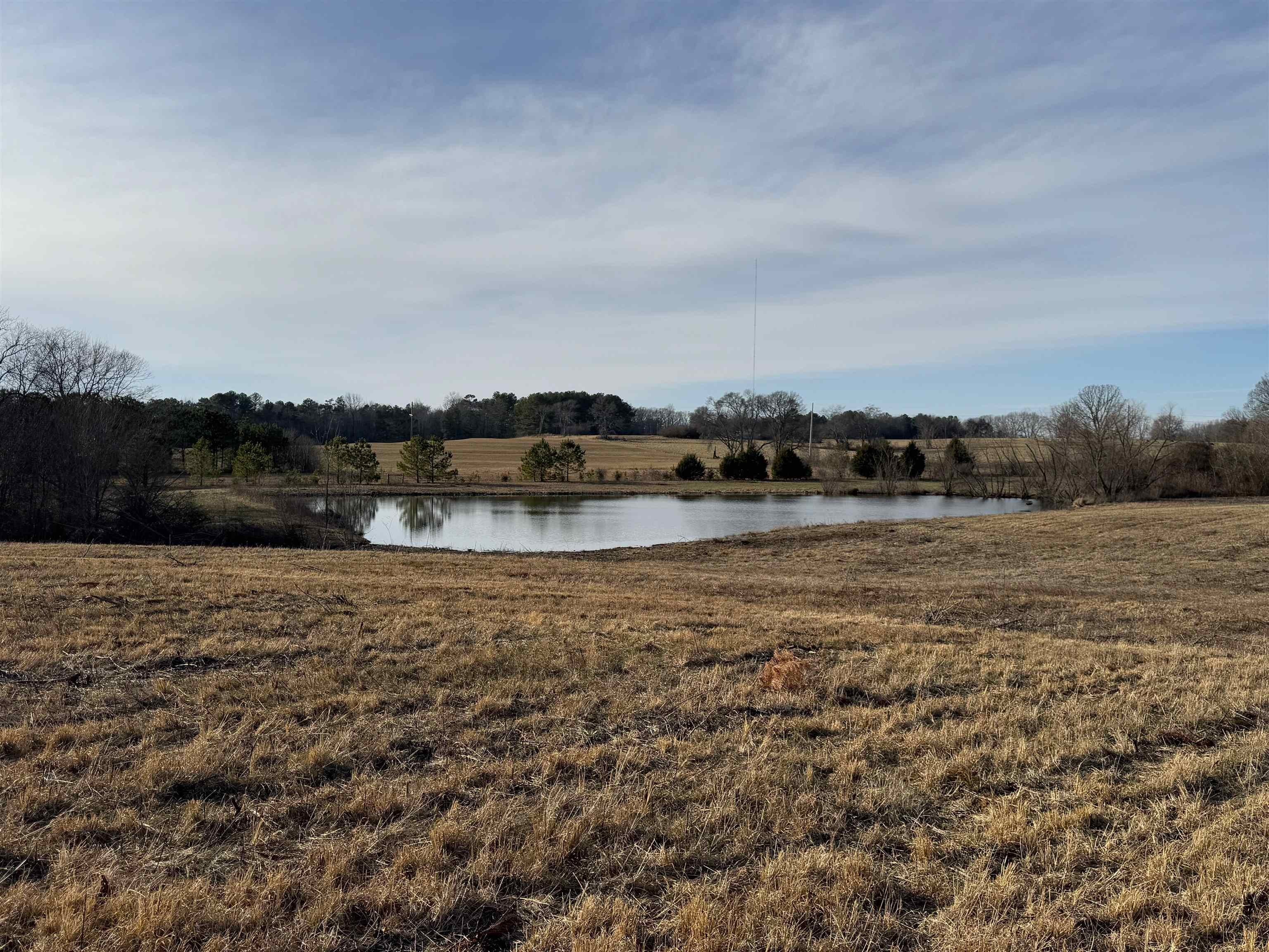 Scenic Land with Pond