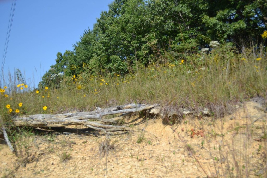 Picture 6