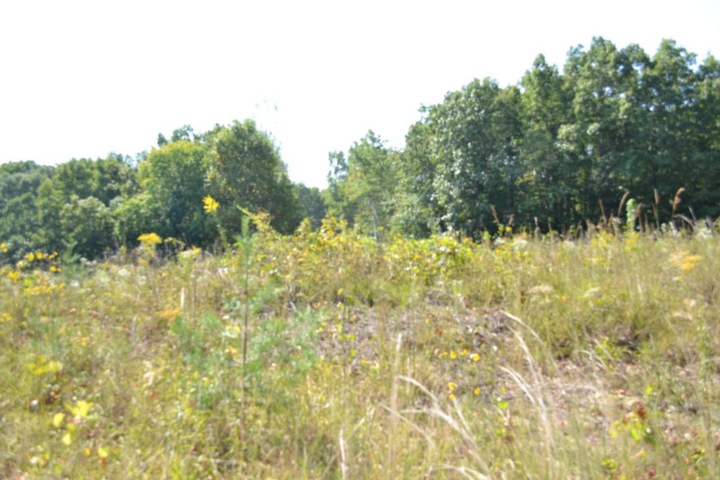 Picture 17