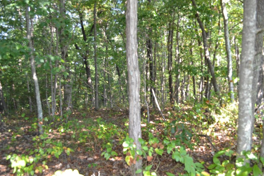 Picture 16