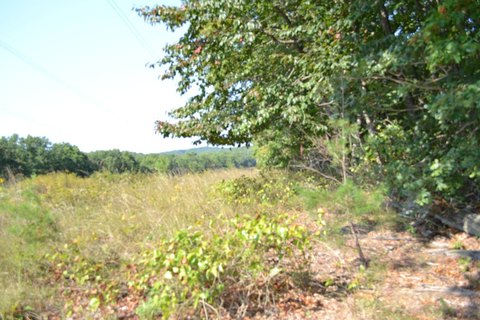 Land, Monterey, TN